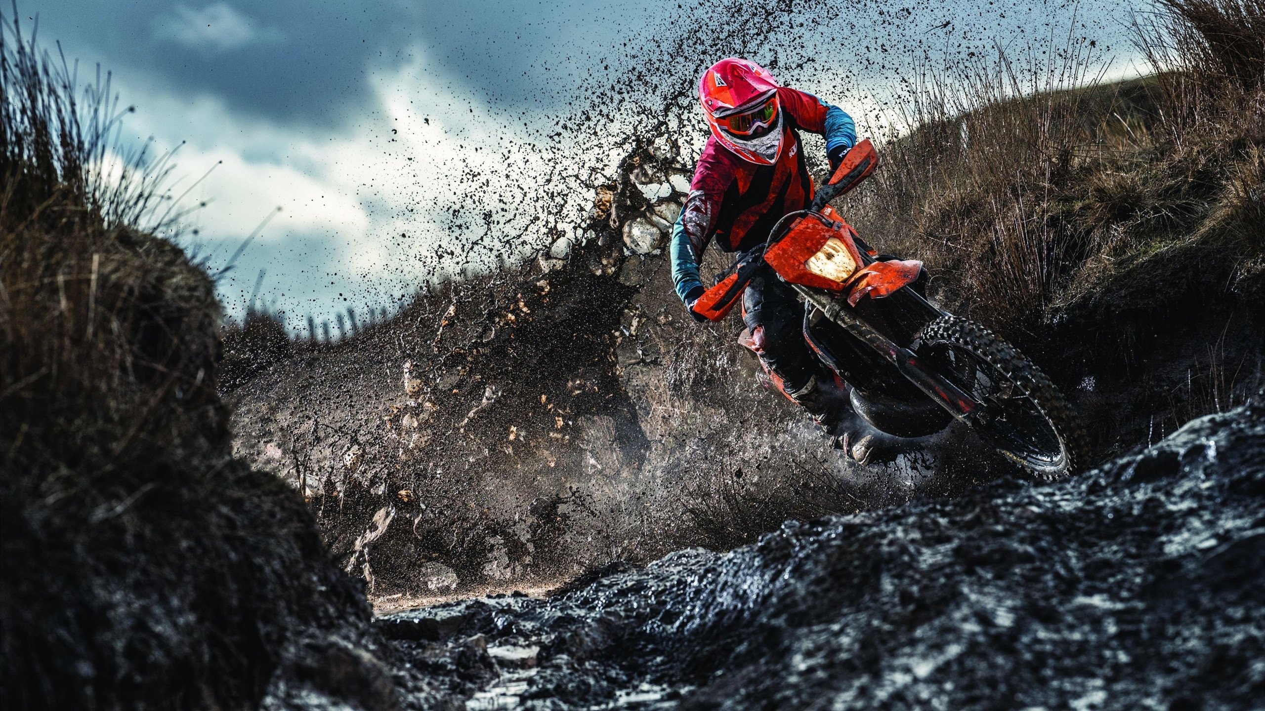 2026年世界跆拳道团体世界杯 中国男女队双双闯入决赛